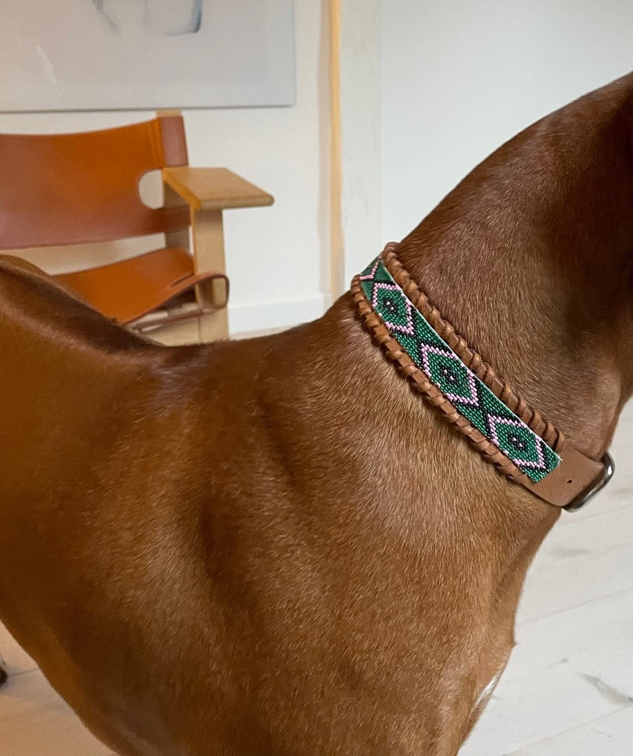 Dog fashion collars and coats