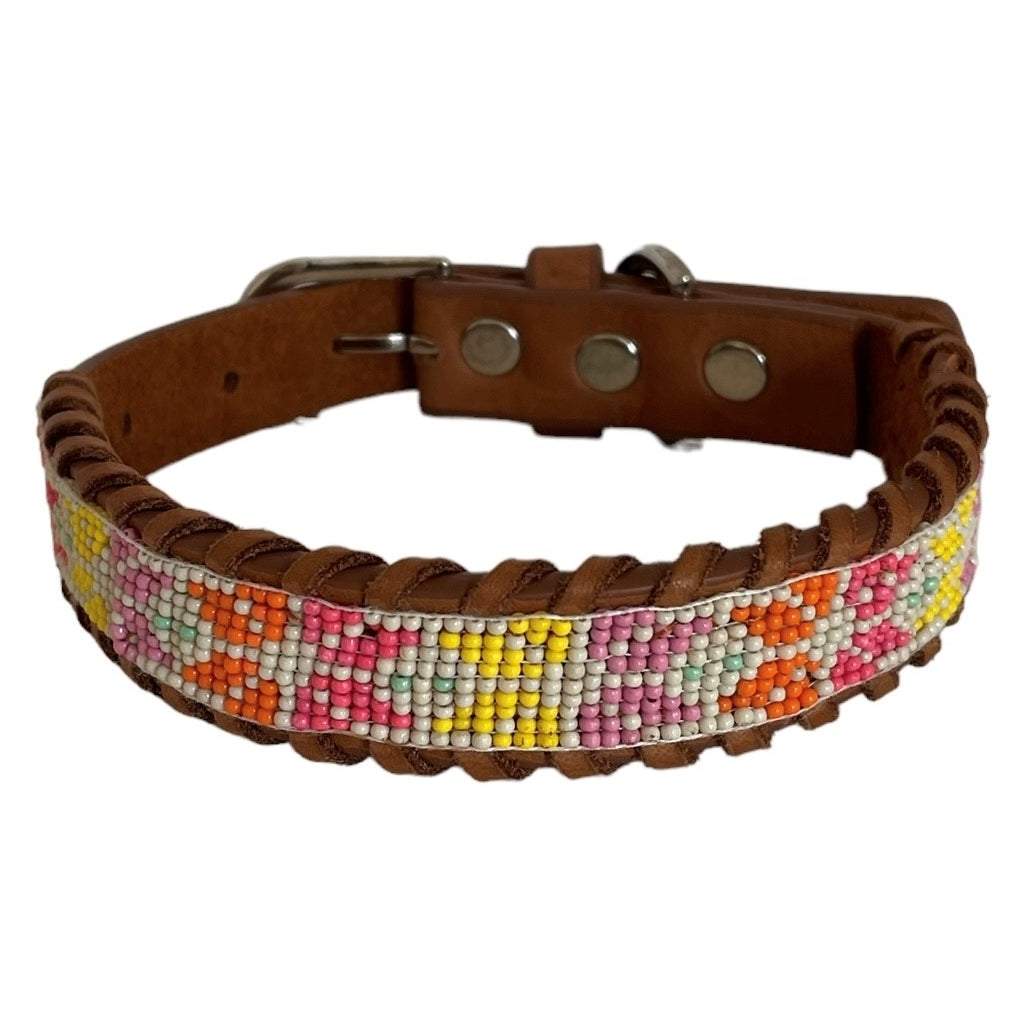 erfurt luxury Sunrise Dog collars 25 Sunshine