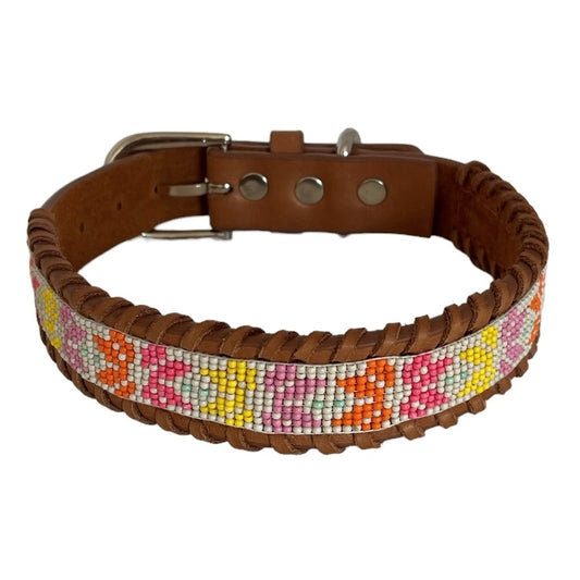 erfurt luxury Sunrise Dog collars 25 Sunshine