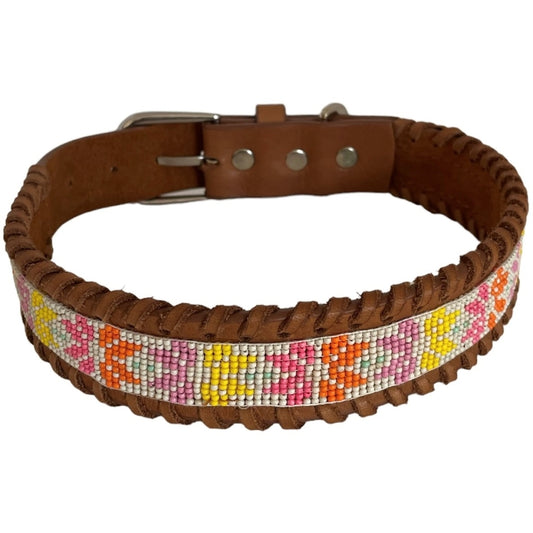 erfurt luxury Sunrise Dog collars 25 Sunshine